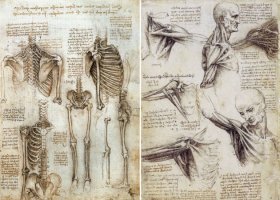 Leonardo da Vinči - "Anatom"