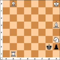 Šahovski problem br. 15