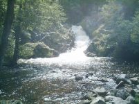 Slike prirode - Šume, planine i more - Kompilacija 1 - slika 2