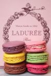 Lanvin za Ladurée  - slika 1