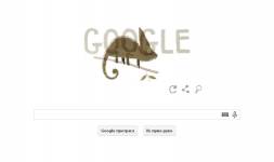 Jemenski kameleon na Google