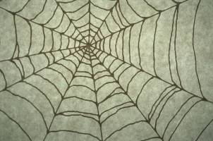 Paukova mreža